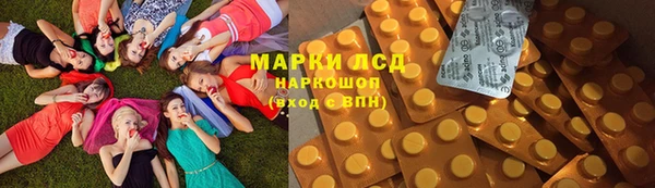 ПСИЛОЦИБИНОВЫЕ ГРИБЫ Алзамай